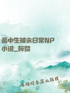高中生被汆日常NP 小说